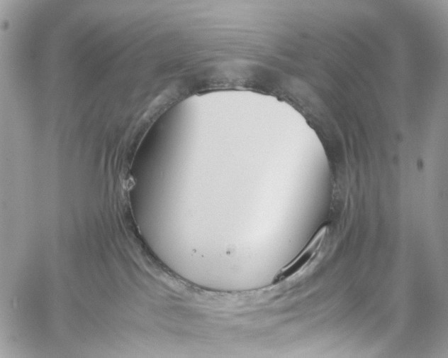 X0000060260045200511181405