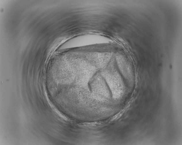 X0000060260049200511181404