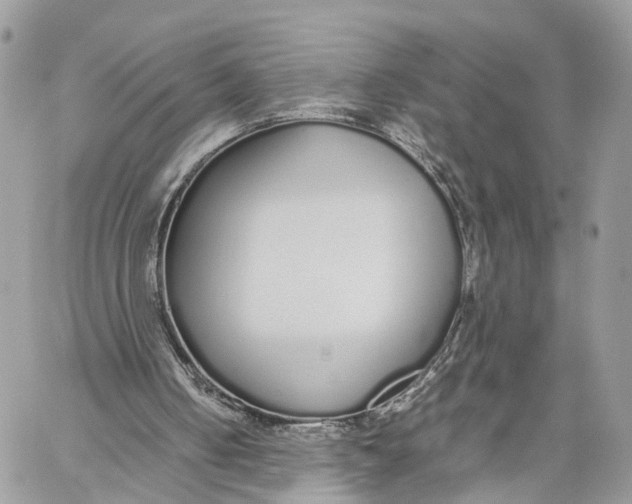 X0000060260050200511181404