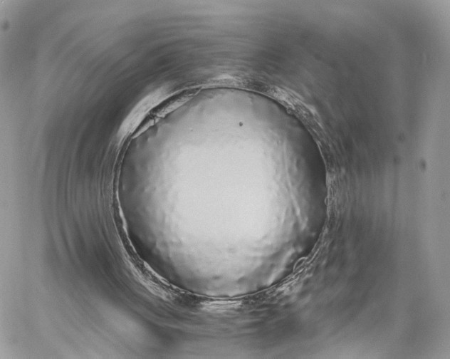 X0000060260051200511181404