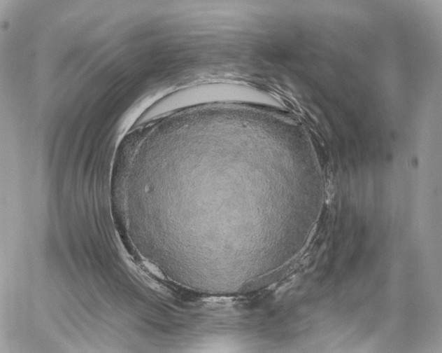 X0000060260052200511181404