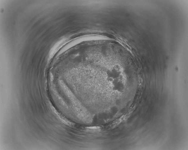 X0000060260053200511181404