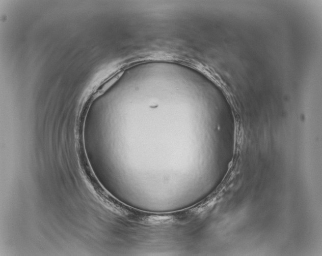 X0000060260055200511181404