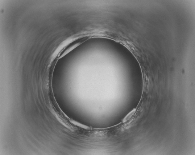 X0000060260056200511181404