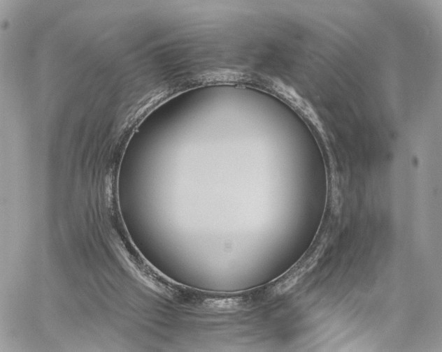 X0000060260057200511181404