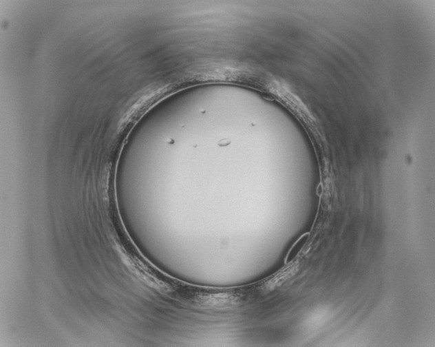 X0000060260058200511181404