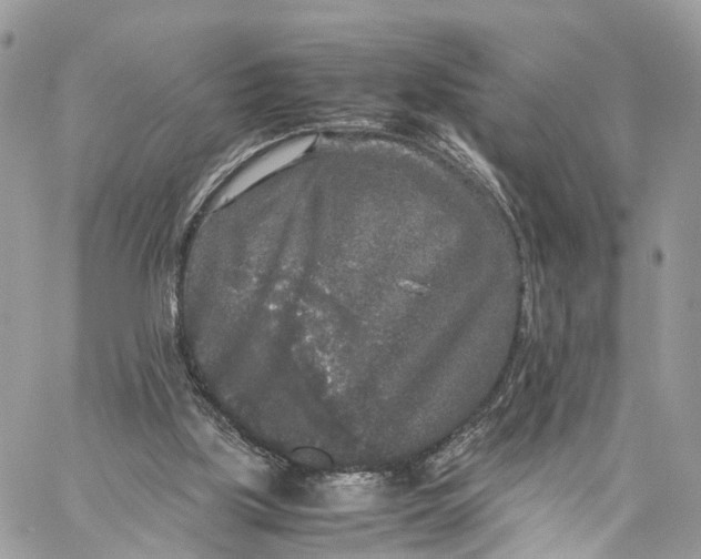 X0000060260059200511181404