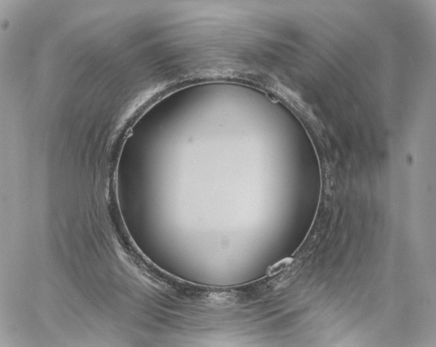 X0000060260060200511181404