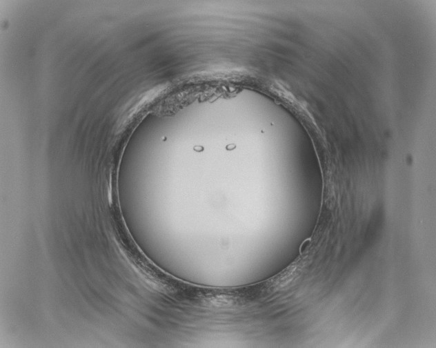 X0000060260062200511181404