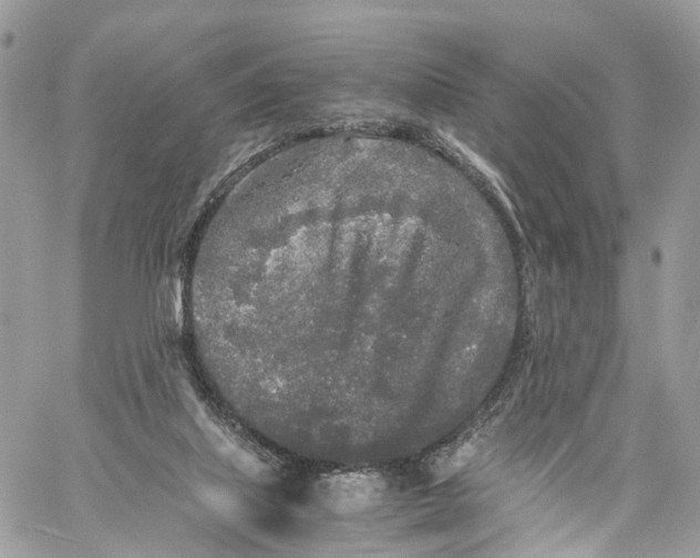 X0000060260067200511181404