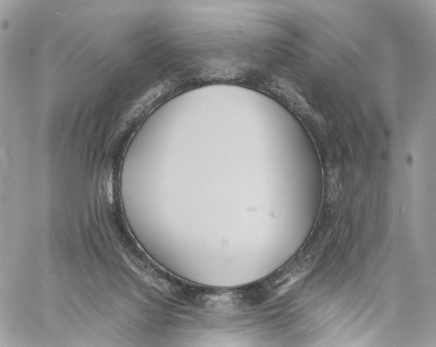 X0000060260068200511181404