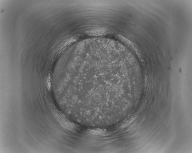 X0000060260069200511181404