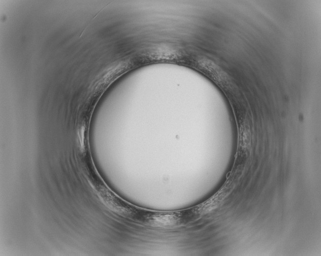 X0000060260070200511181405