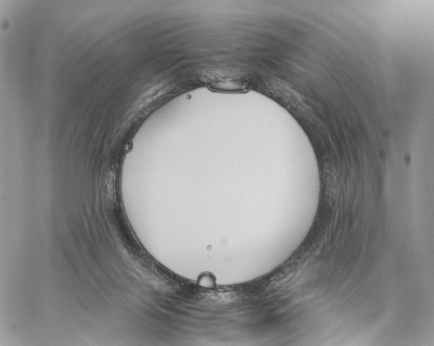 X0000060260071200511181405