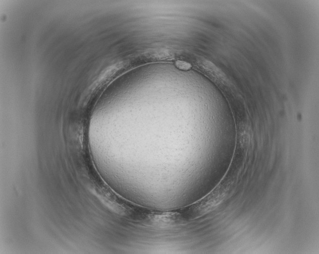 X0000060260072200511181405