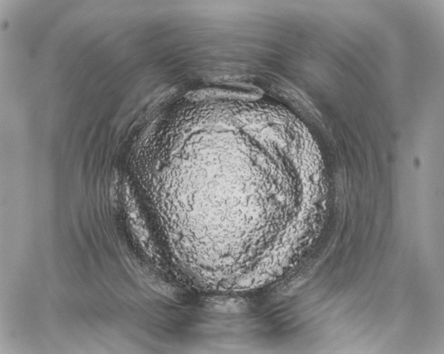 X0000060260073200511181405