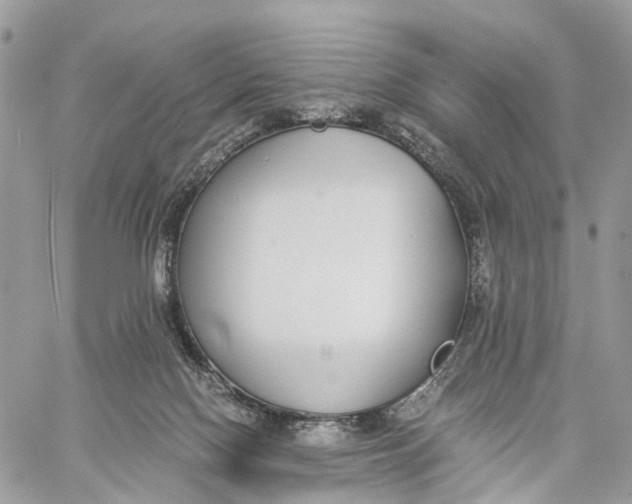 X0000060260074200511181405