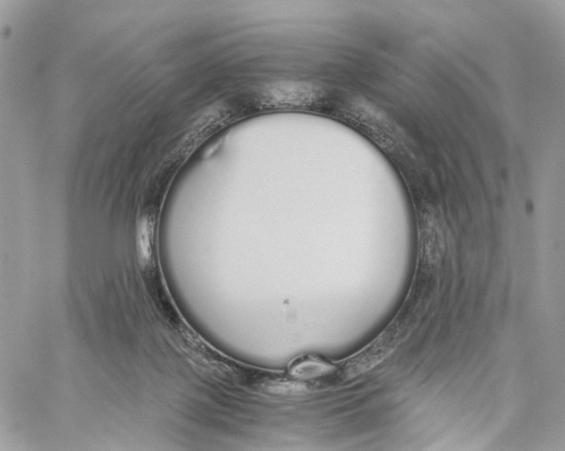 X0000060260075200511181405