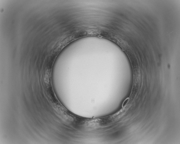 X0000060260078200511181405