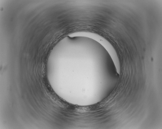 X0000060260079200511181405