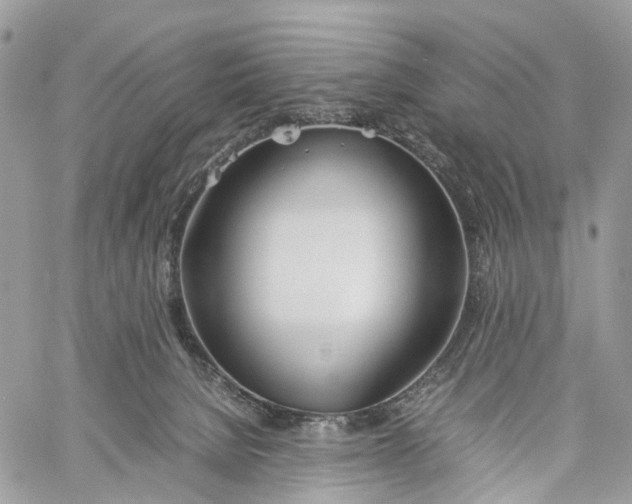 X0000060260080200511181405