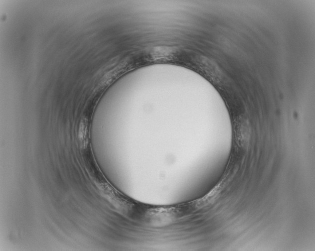 X0000060260082200511181405