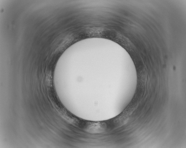 X0000060260083200511181405