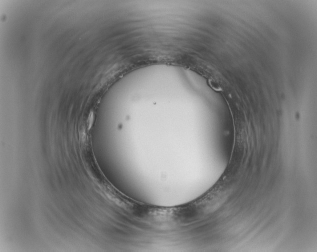 X0000060260084200511181405