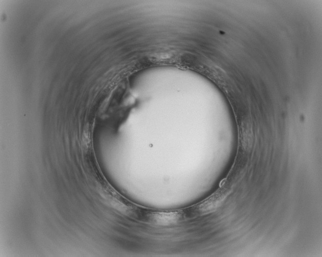 X0000060260085200511181405