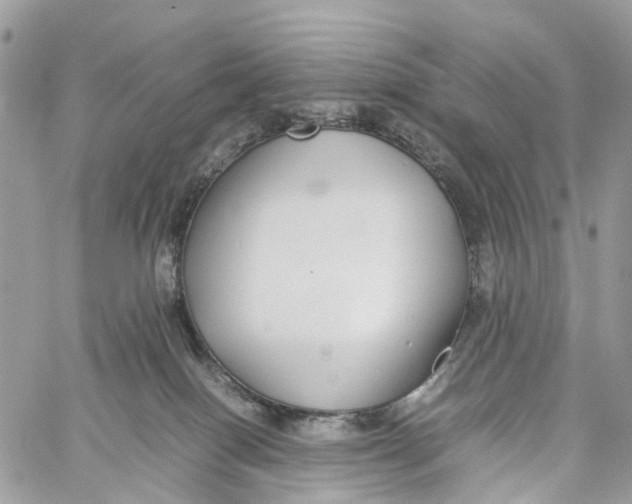 X0000060260086200511181405