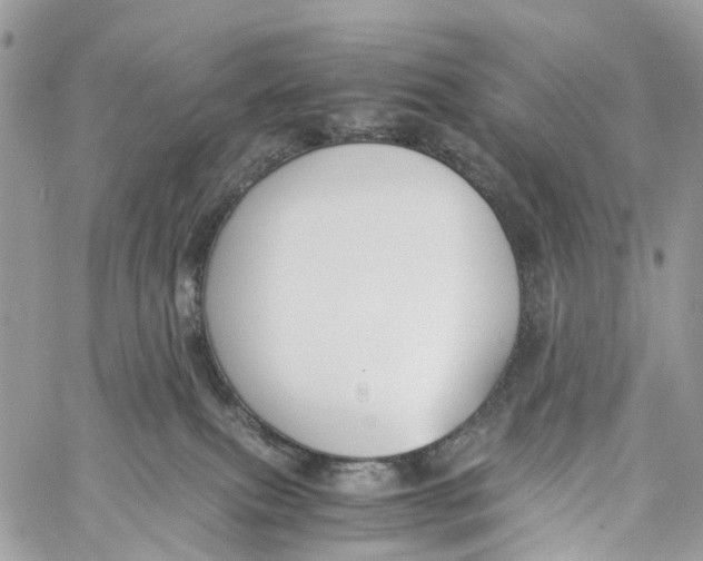 X0000060260087200511181405