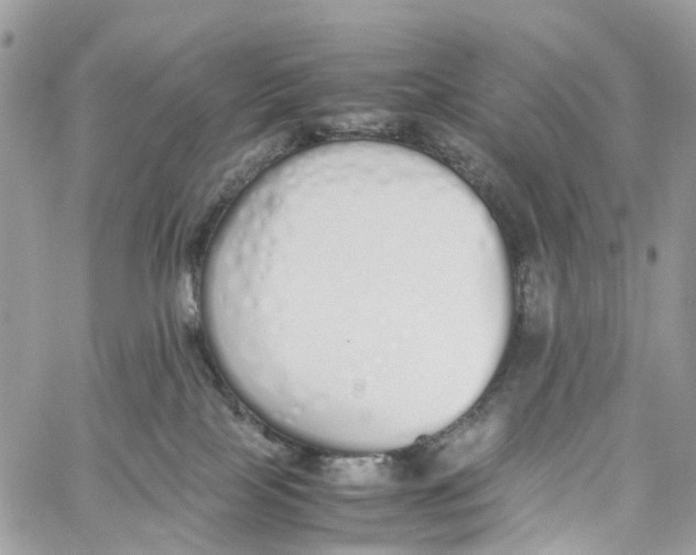 X0000060260089200511181405