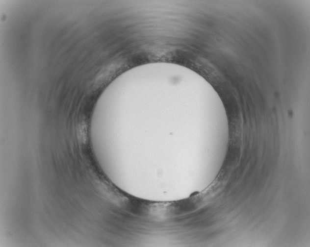 X0000060260090200511181405