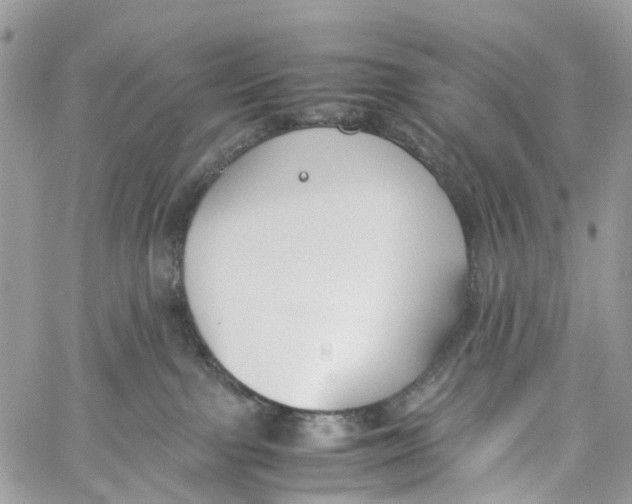 X0000060260091200511181405