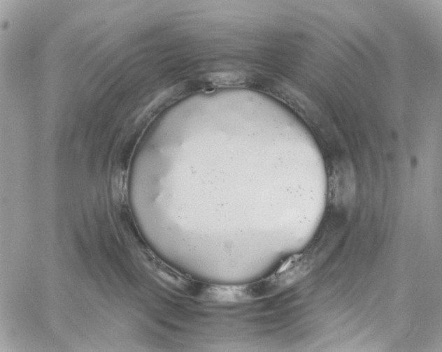 X0000060260093200511181405