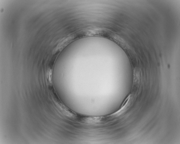 X0000060260094200511181405