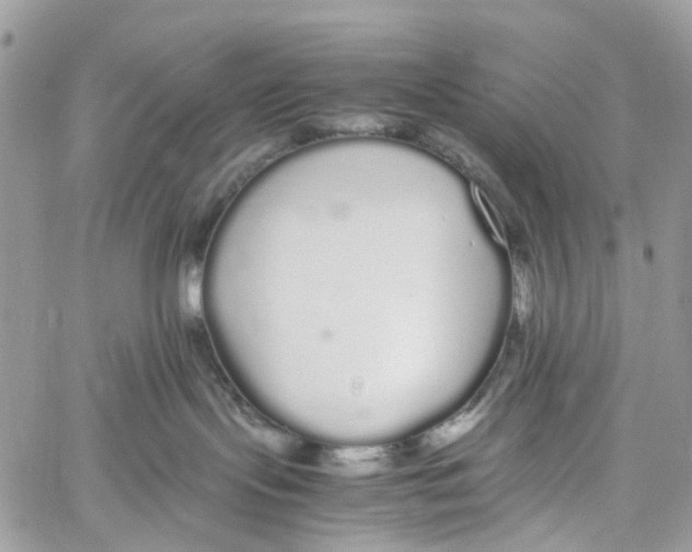 X0000060260095200511181405