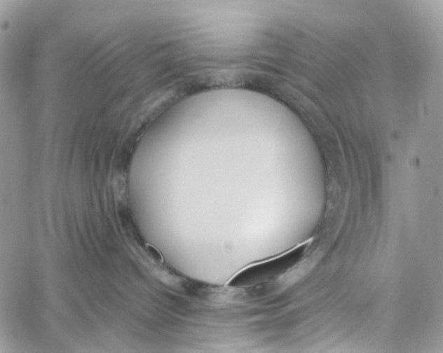 X0000060260096200511181405