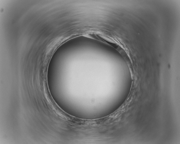 X0000060260097200511181404