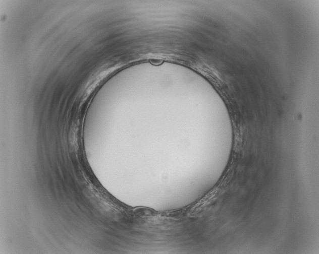 X0000060260098200511181404