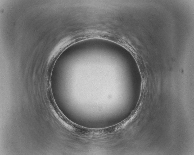 X0000060260101200511181404