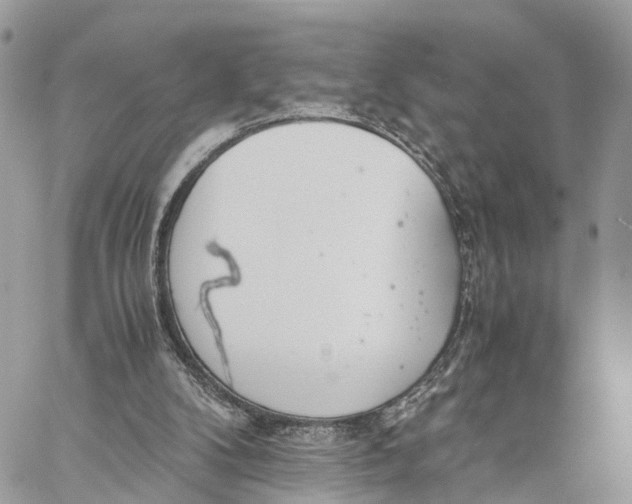 X0000060260104200511181404