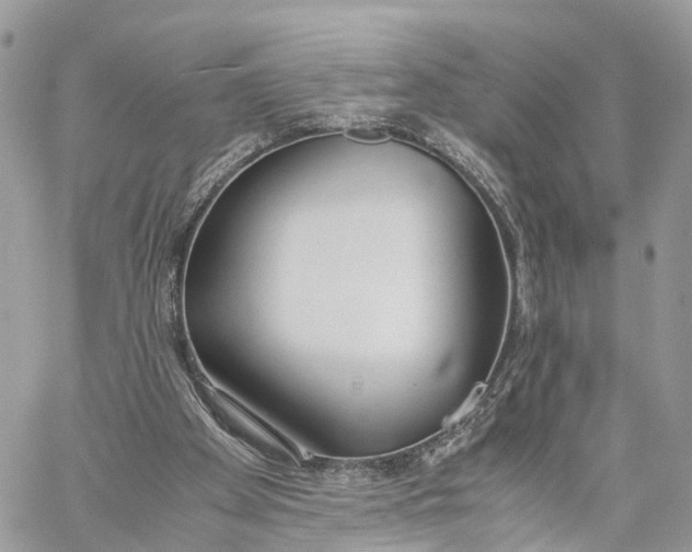 X0000060260105200511181404