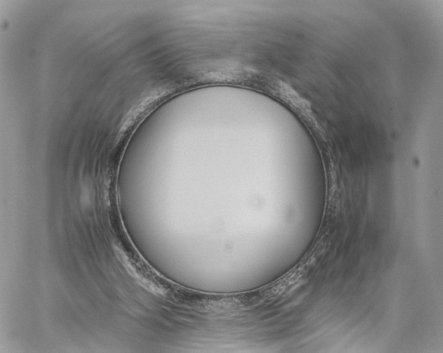 X0000060260106200511181404