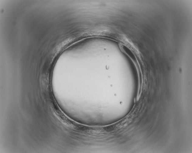 X0000060260107200511181404