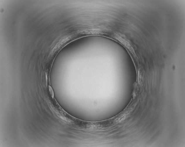 X0000060260109200511181404