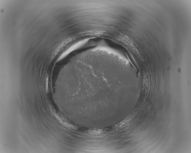 X0000060260110200511181404