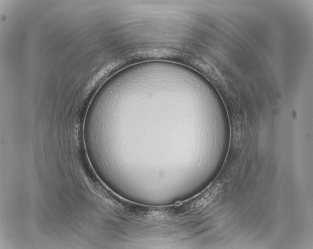 X0000060260111200511181404