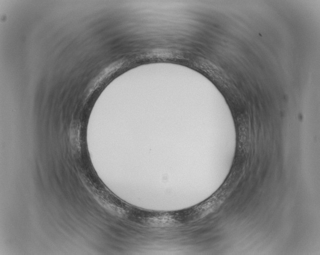 X0000060260112200511181404