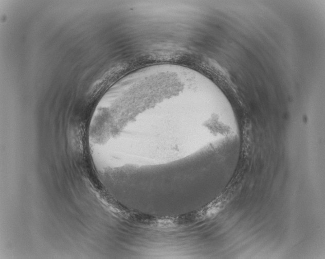 X0000060260114200511181404